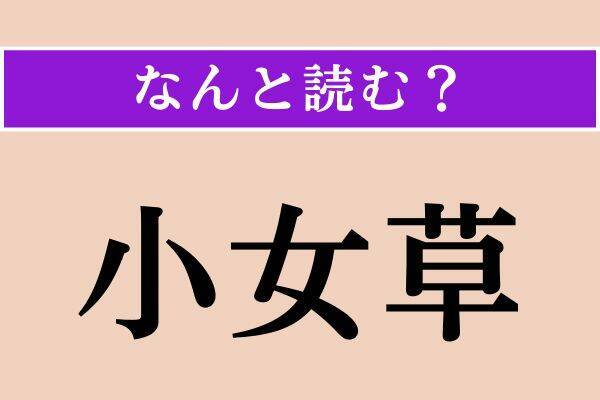【難読漢字】「怨恨」「小女草」「立陶宛」読める？