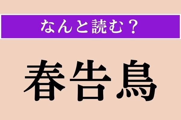 【難読漢字】「春告鳥」正しい読み方は？ 春を告げる鳥とは？