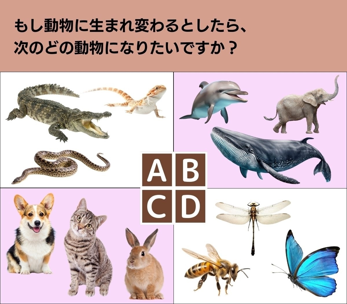 【心理テスト】あなたの性格の対人面を解き明かします