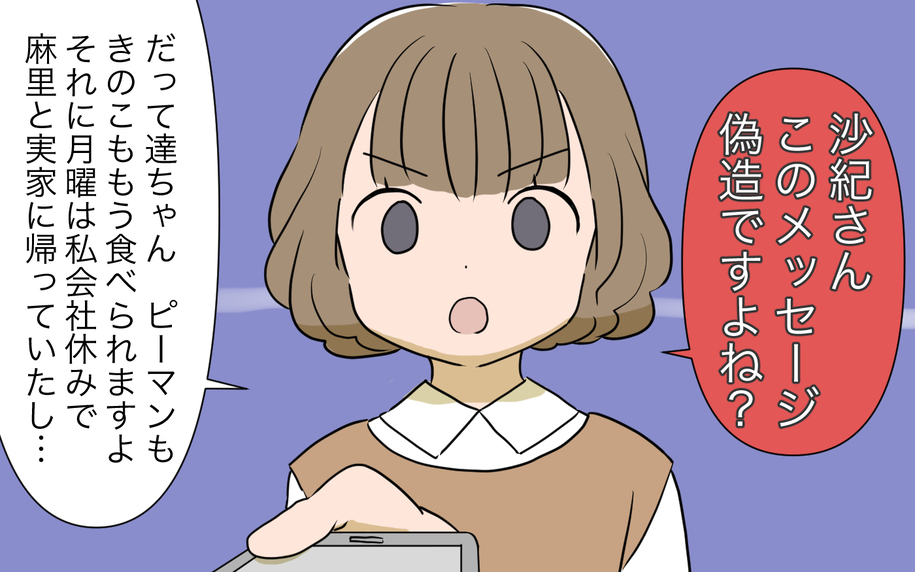 「メッセージを偽造までして…」義姉は本気で私を陥れたいの？