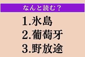 【難読漢字】「氷島」「葡萄牙」「野放途」読める？