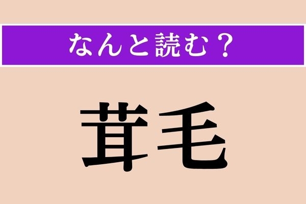 【難読漢字】「茸毛」正しい読み方は？「茸」（きのこ）じゃない読み方があるの知ってました？
