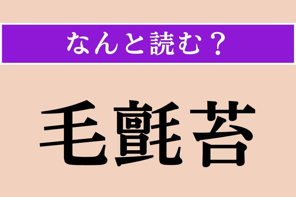 【難読漢字】「矩尺」「毛氈苔」「日雀」読める？