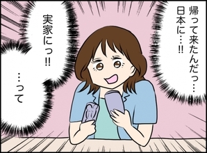 【漫画】彼は沖縄の実家にいる！遠距離でもがんばろう！【義姉と旦那が不倫した話 Vol.11】