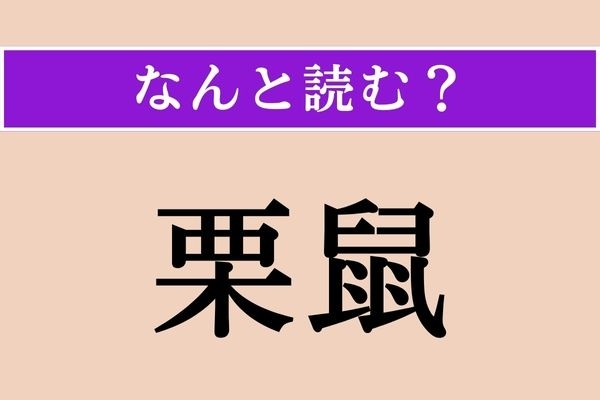 【難読漢字】「栗鼠」正しい読み方は？ 毛のふさふさした可愛らしい小動物です