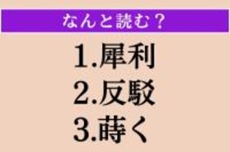 【難読漢字】「犀利」「反駁」「蒔く」読める？