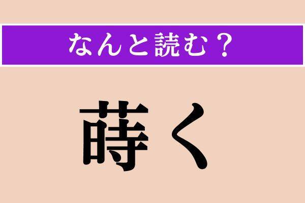 【難読漢字】「犀利」「反駁」「蒔く」読める？