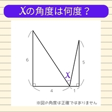 【角度当てクイズ Vol.1091】xの角度は何度？