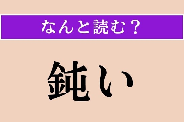 【難読漢字】「鈍い」正しい読み方は？「にぶい」ではない読み方わかりますか？