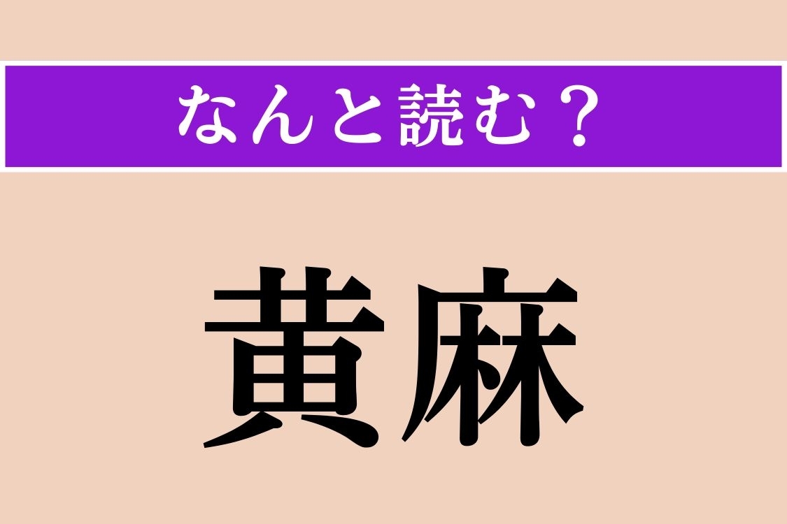 【難読漢字】「黄麻」正しい読み方は？ シナノキ科の一年草で、夏から秋に黄色い小花を咲かせます