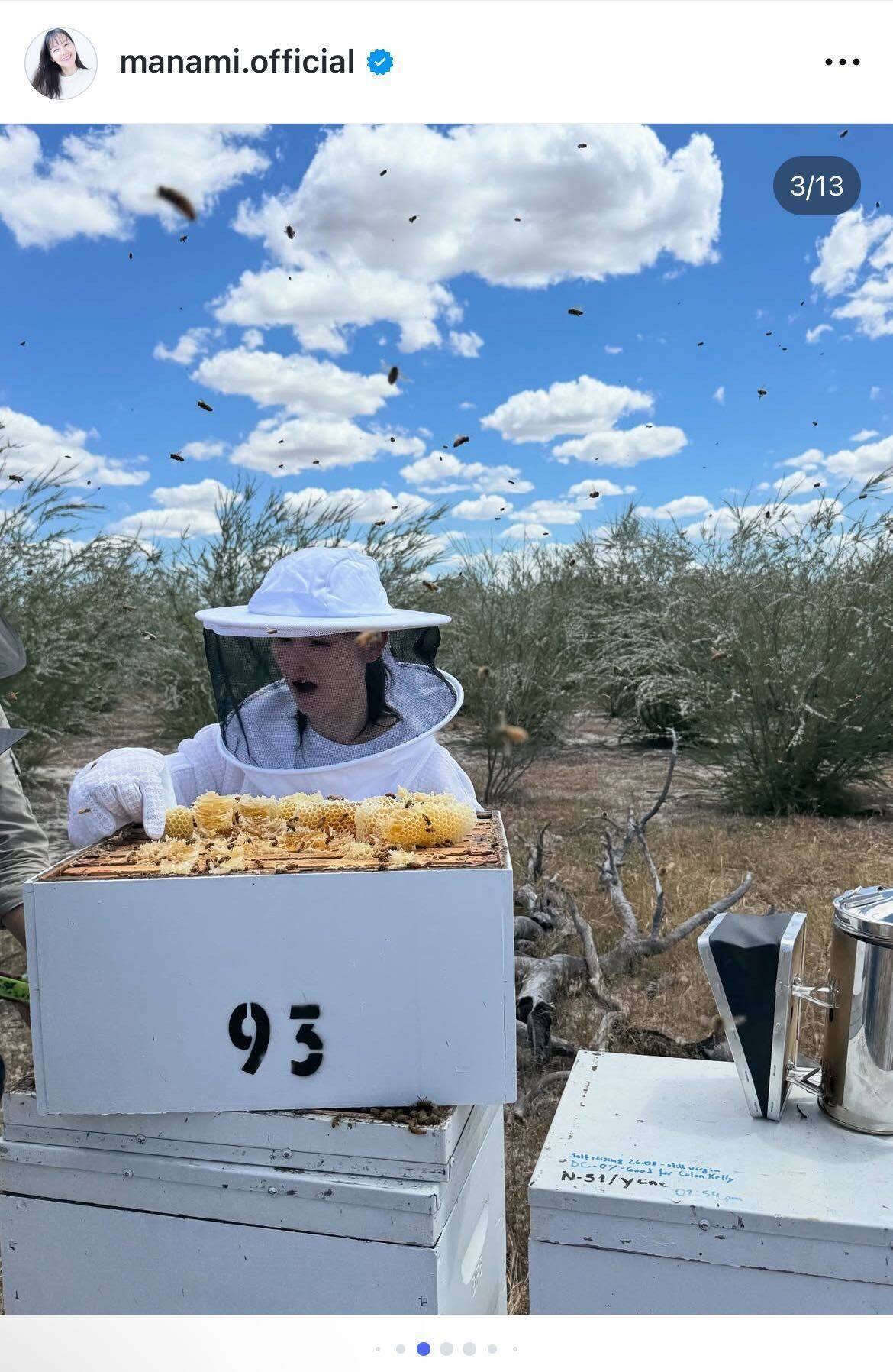小西真奈美、養蜂体験で実感した“本物の蜂蜜の力”「白髪や不調もなくなった」