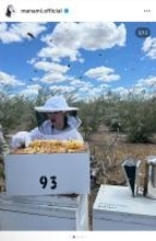 小西真奈美、養蜂体験で実感した“本物の蜂蜜の力”「白髪や不調もなくなった」