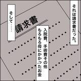 「【漫画】母の医療費、火葬費が私宛に請求された【義母から800万円奪った兄嫁の末路 Vol.85】」の画像3
