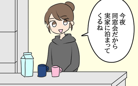 夫の浮気の可能性はなさそうでひとまず安心…夫婦それぞれ実家へ帰省することにの画像
