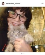 大地真央、新しい家族サイベリアン子猫「タタン」の成長を報告「2しゅうかんがたちました」