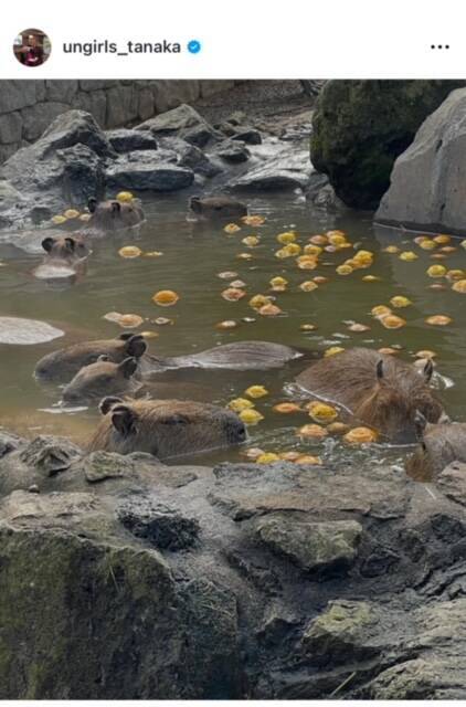 アンガールズ田中、ケンコバの結婚で「地獄契約」スタートと投稿