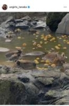 アンガールズ田中、ケンコバの結婚で「地獄契約」スタートと投稿