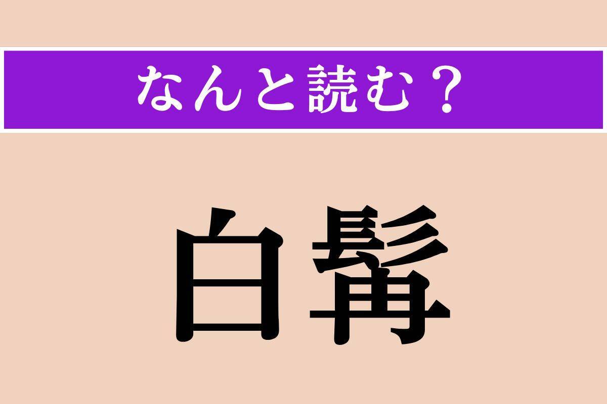 【難読漢字】「白髯」正しい読み方は？ ほっぺの白いヒゲのことです