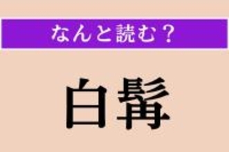 【難読漢字】「白髯」正しい読み方は？ ほっぺの白いヒゲのことです