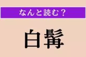 【難読漢字】「白髯」正しい読み方は？ ほっぺの白いヒゲのことです