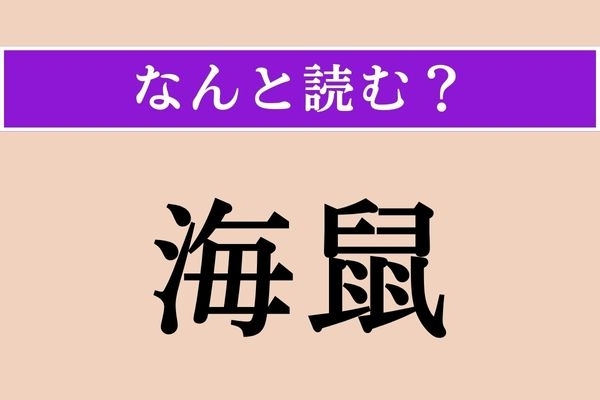 【難読漢字】「海鼠」正しい読み方は？「海鼠腸」だと「このわた」と読みます