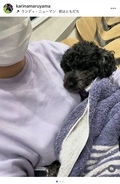 丸山桂里奈、愛犬すももの緊急事態を報告「死ぬんじゃないかなてくらい」
