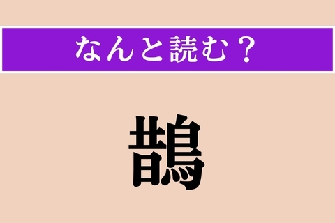 【難読漢字】「鵲」正しい読み方は？ どの鳥でしょうか？