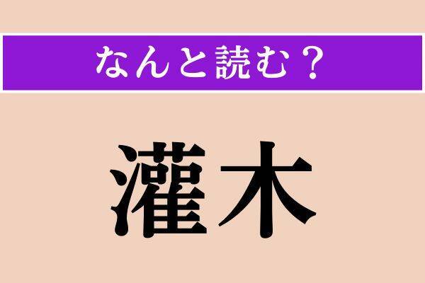 【難読漢字】「蹂躙」「鼠径」「灌木」読める？