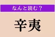 【難読漢字】「辛夷」正しい読み方は？ 白い大きな花をつけるモクレン科モクレン属に属する植物です