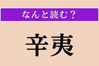 【難読漢字】「辛夷」正しい読み方は？ 白い大きな花をつけるモクレン科モクレン属に属する植物です