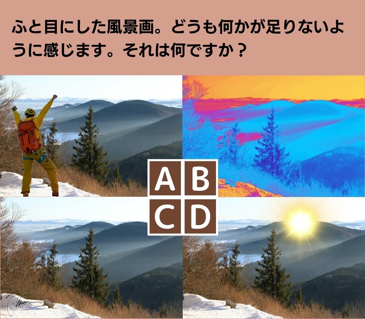 【心理テスト】あなたが居心地良く感じる理想の職場とは？