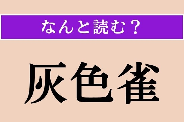 【難読漢字】「灰色雀」正しい読み方は？ シジュウカラ科の鳥です