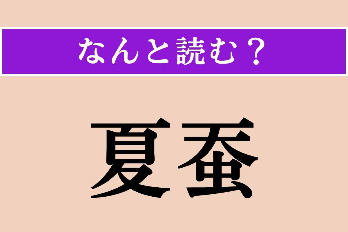 【難読漢字】「袖珍本」「孟夏」「夏蚕」読める？