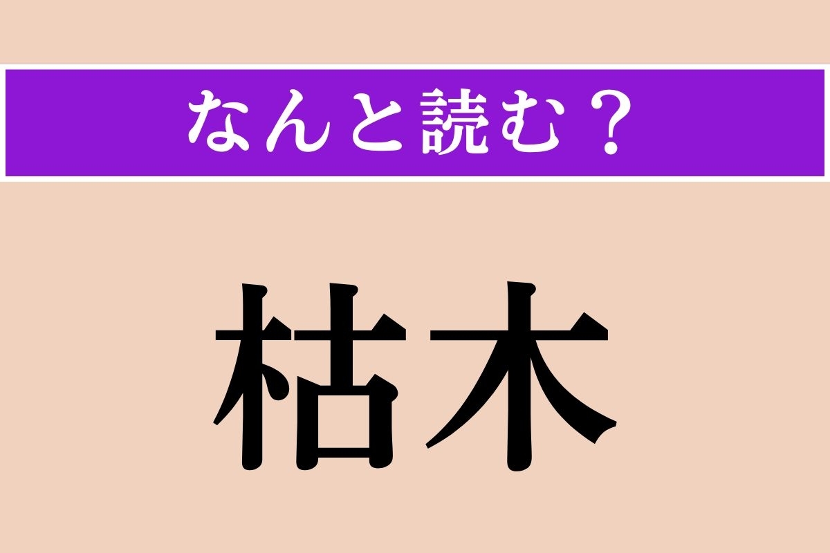 【難読漢字】「枯木」正しい読み方は？ 簡単に読めそうだけど……