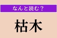 【難読漢字】「枯木」正しい読み方は？ 簡単に読めそうだけど……
