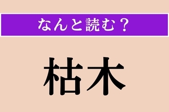 【難読漢字】「枯木」正しい読み方は？ 簡単に読めそうだけど……