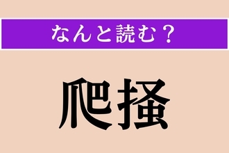 【難読漢字】「爬掻」正しい読み方は？ 主に医療分野で使用される言葉です