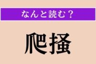 【難読漢字】「爬掻」正しい読み方は？ 主に医療分野で使用される言葉です