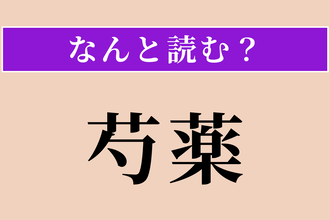【難読漢字】「芍薬」正しい読み方は？ 豪華絢爛な花です