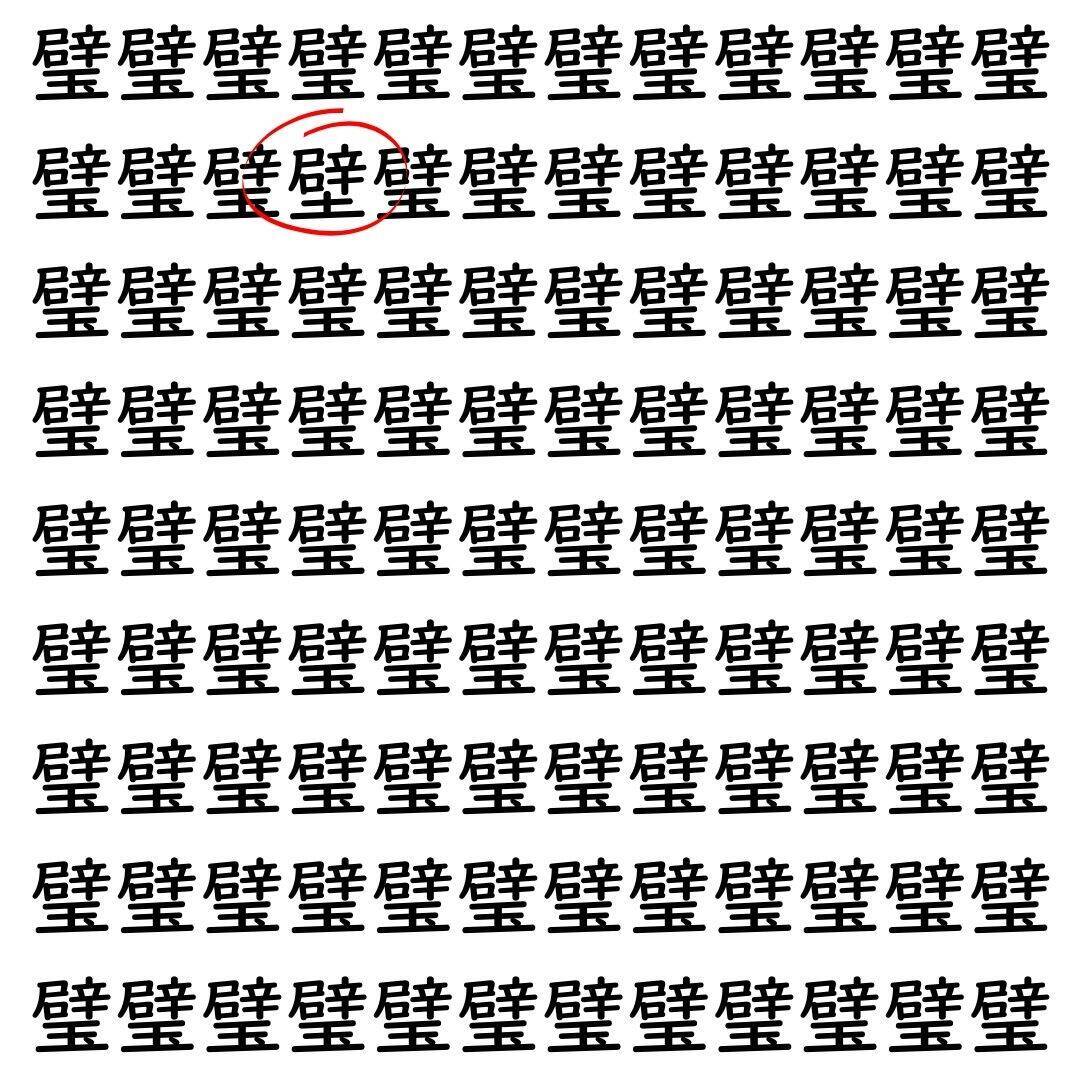 【漢字探し】ずらっと並んだ「璧」の中にまぎれた別の漢字一文字は？