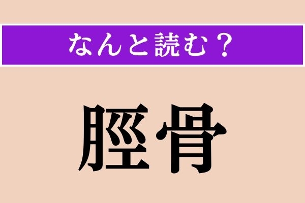【難読漢字】「脛骨」正しい読み方は？ 人間の下肢にある骨です