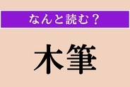 【難読漢字】「木筆」正しい読み方は？ モクレン科の落葉高木です
