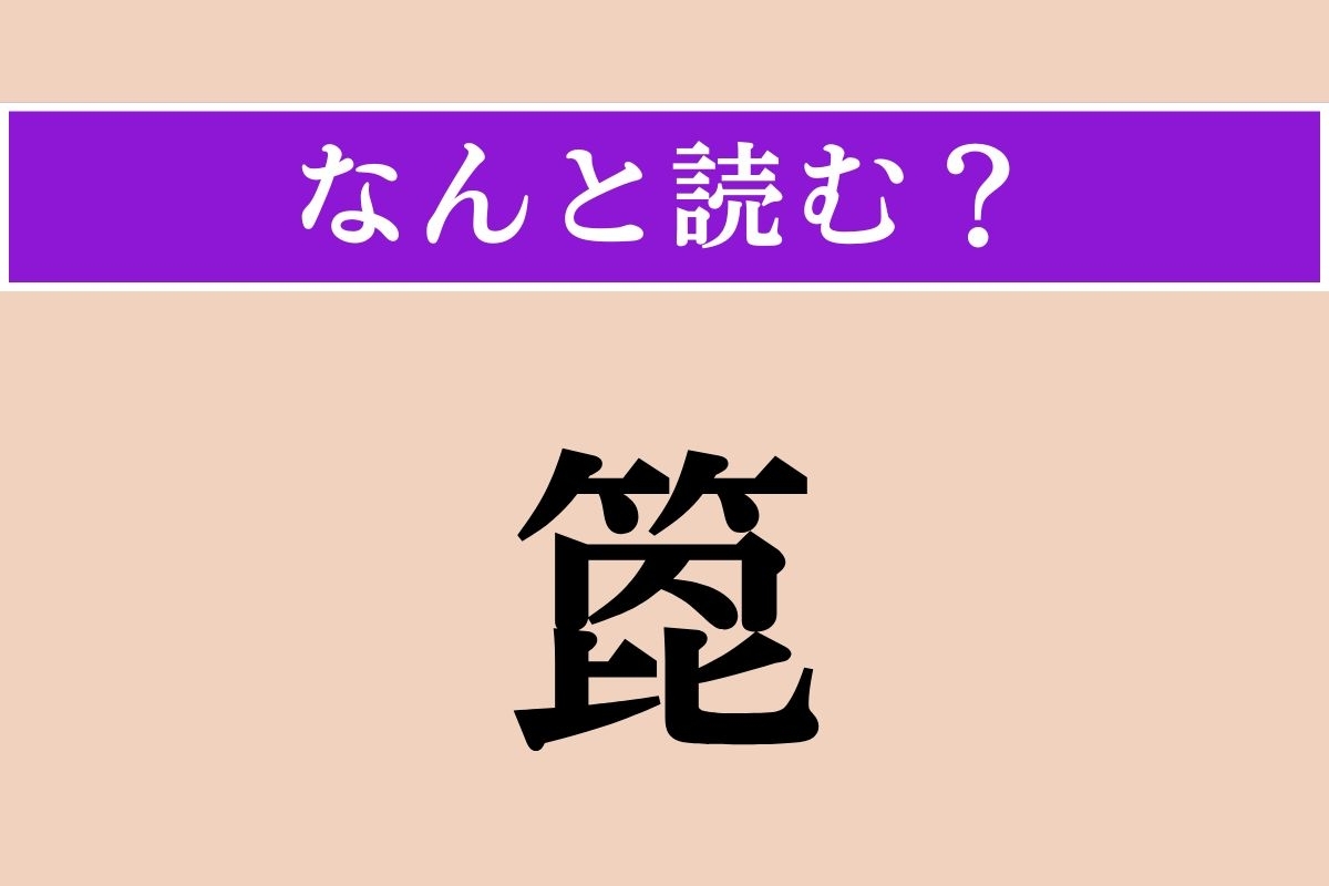 【難読漢字】「箆」正しい読み方は？ 混ぜたり、すくったりします