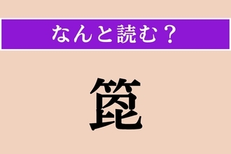 【難読漢字】「箆」正しい読み方は？ 混ぜたり、すくったりします