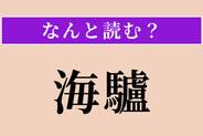 【難読漢字】「海驢」正しい読み方は？ 海の動物です