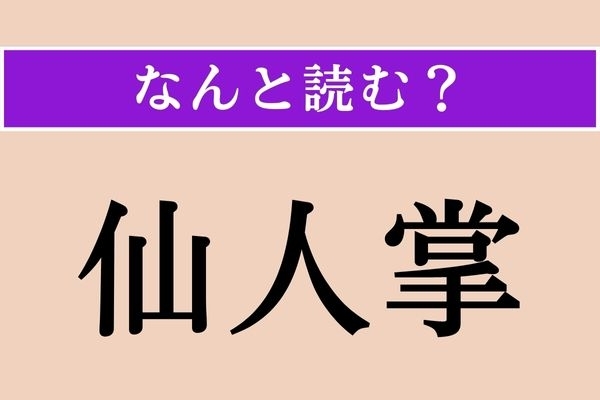 【難読漢字】「仙人掌」正しい読み方は？ 観葉植物としても人気です