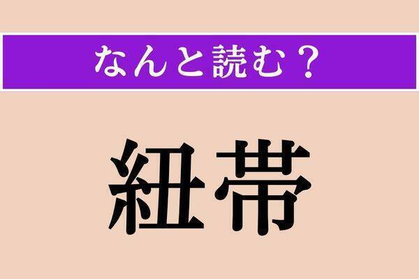 【難読漢字】「紐帯」「随に」「詛い」読める？