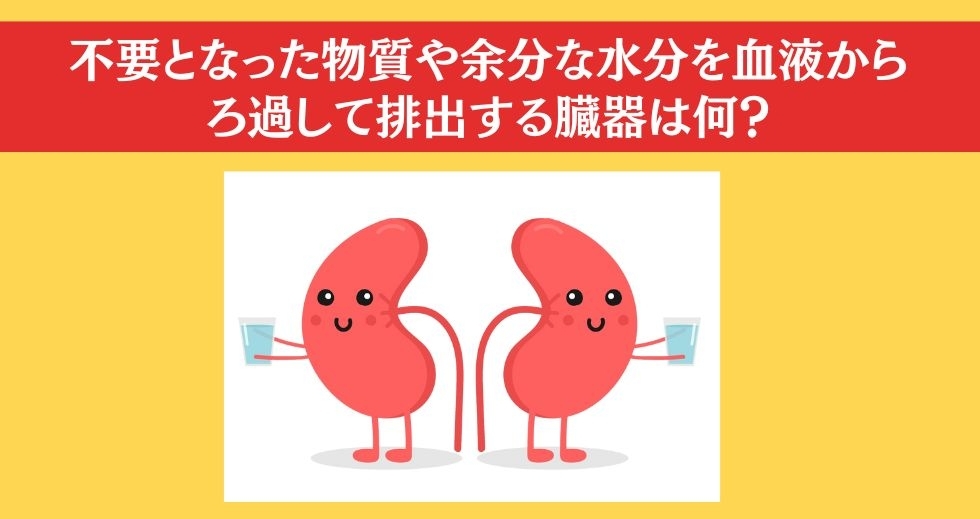 大人ならわかる？ 小学校の「理科」問題＜Vol.3＞