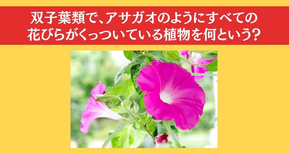 大人ならわかる？ 小学校の「理科」問題＜Vol.21＞
