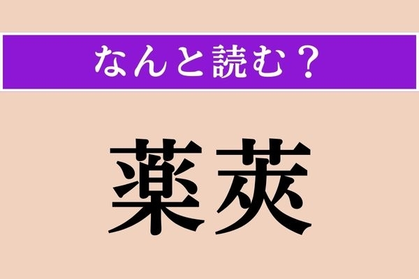 【難読漢字】「薬莢」正しい読み方は？「莢」は「さや」のことです